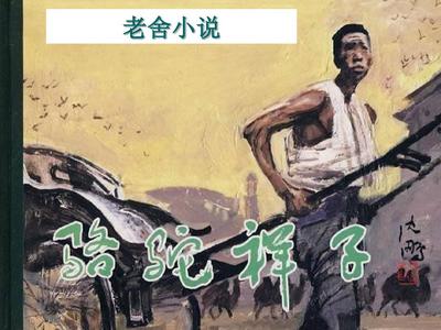 深入了解 蘑菇Tv成版入口电脑版
